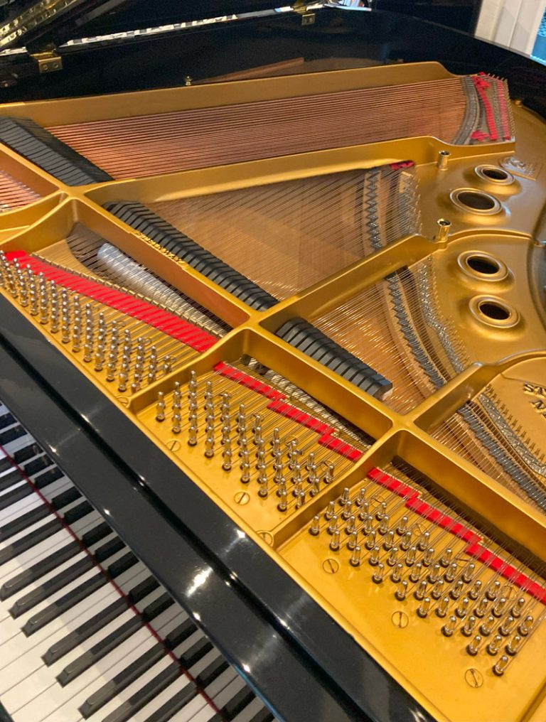 Profesionales en el cuidado del piano